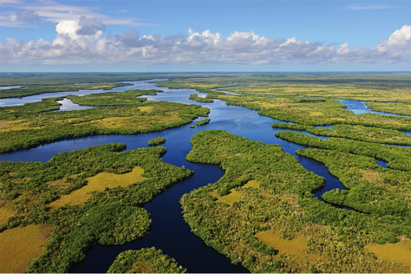 Habitat Restoration - Save Natural Florida